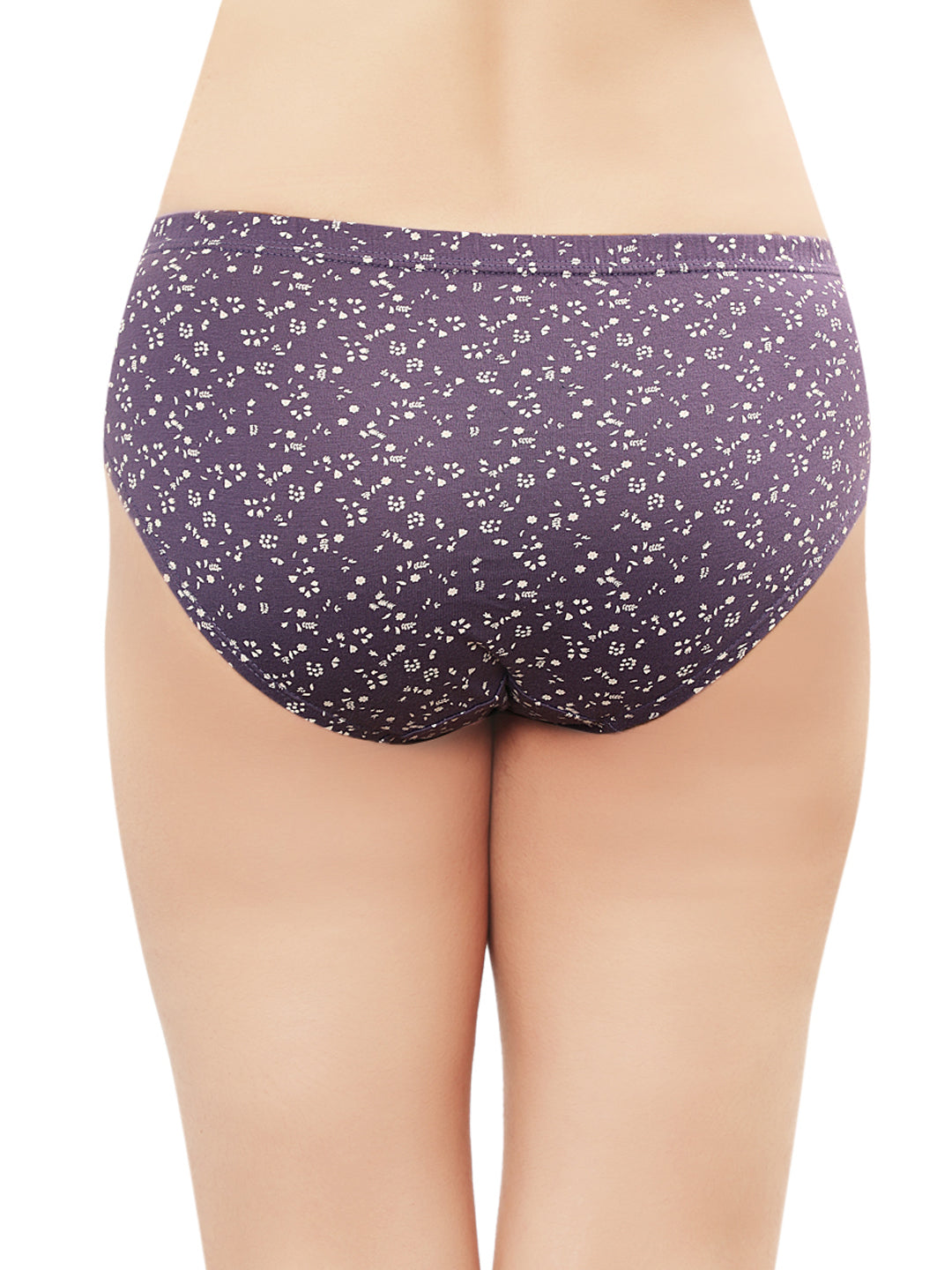 In Care Pack of 3 Printed Mid Rise Inner Elastic Hipster Panties (ICIN-113)