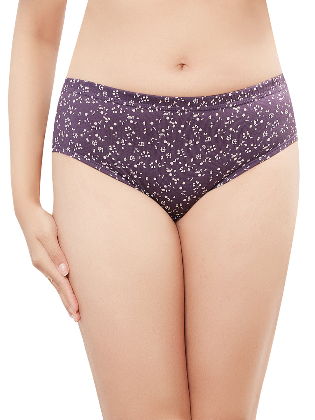 In Care Pack of 3 Printed Mid Rise Inner Elastic Hipster Panties (ICIN-113)