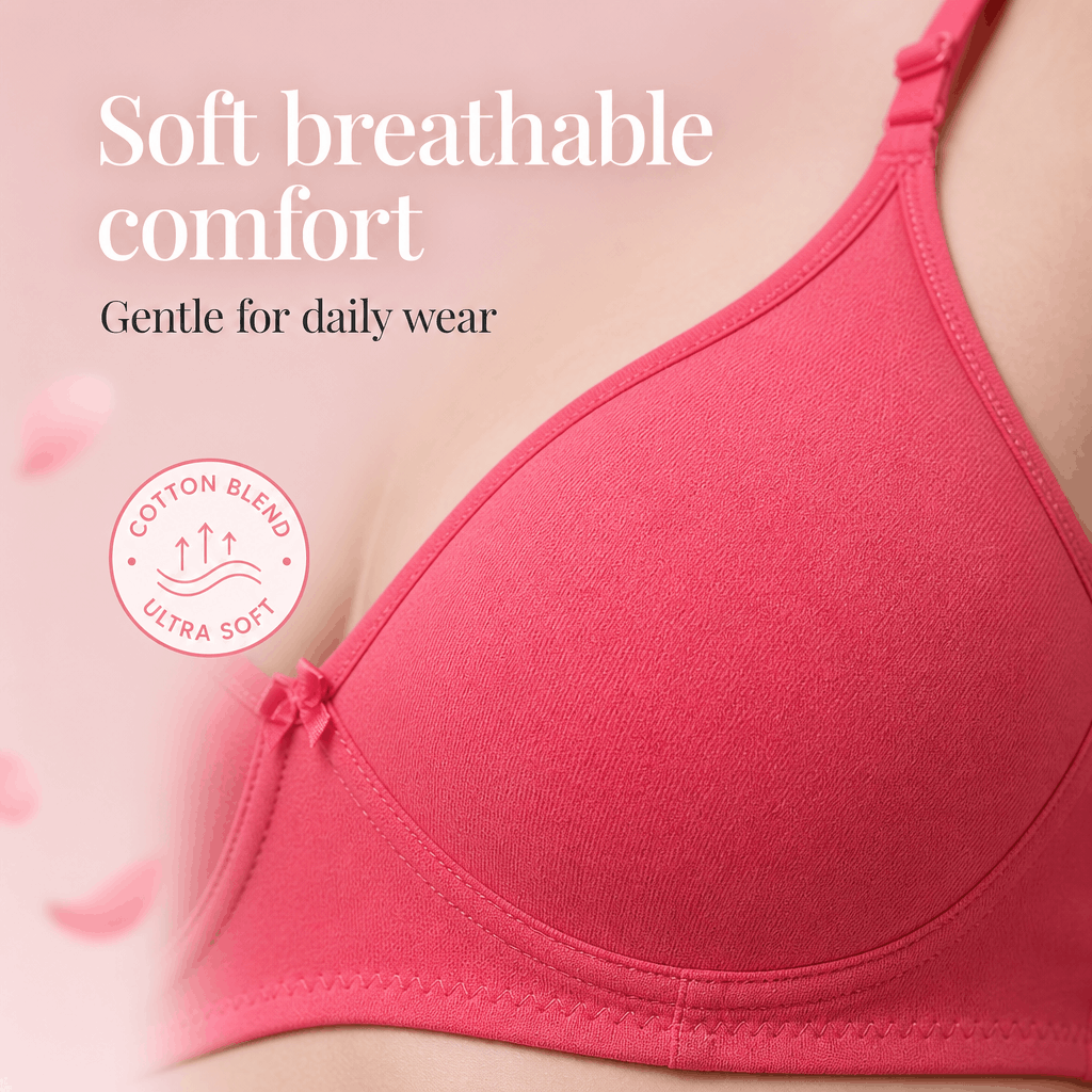 Everyday Padded T-Shirt Bra - B Cup, 4 Colours