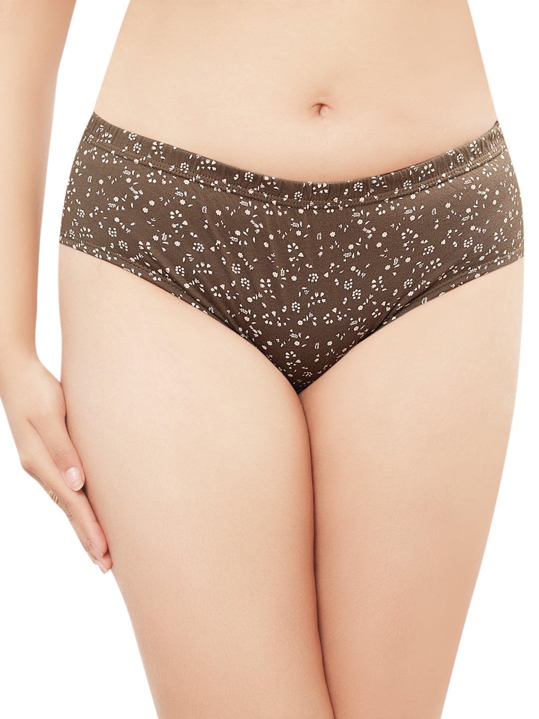 In Care Pack of 3 Printed Mid Rise Inner Elastic Hipster Panties (ICIN-113)