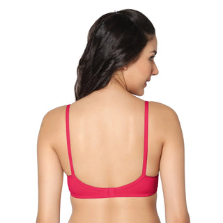 Non-Padded Full Coverage  T-Shirt Bra Mangenta Royalblue color (Pack of 2)