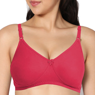 ICPD-10 Full Coverage Lightly Padded Bra (Pack of 2) - Incare