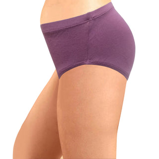 ICIN-051 Hipster Panty with Inner Elastic (Pack of 3) - Incare